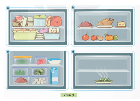 Công nghệ lớp 5 Kết nối tri thức Bài 6: Sử dụng tủ lạnh