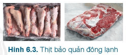 Lý thuyết Công nghệ 6 Bài 6: Bảo quản thực phẩm