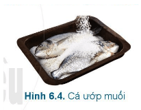 Lý thuyết Công nghệ 6 Bài 6: Bảo quản thực phẩm | Cánh diều