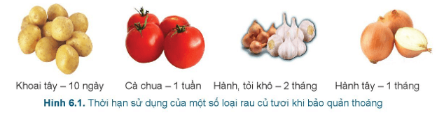 Lý thuyết Công nghệ 6 Bài 6: Bảo quản thực phẩm