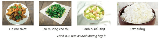 Lý thuyết Công nghệ 6 Bài 4: Thực phẩm và dinh dưỡng