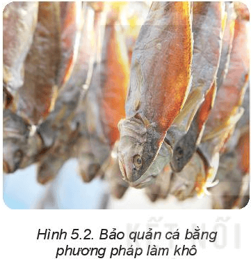 Lý thuyết Công nghệ 6 Bài 5: Phương pháp bảo quản và chế biến thực phẩm - Kết nối tri thức