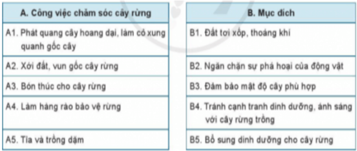 Ghép các ý ở cột A với cột B để xác định mục đích