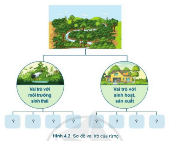 Đọc nội dung Vai trò của rừng và hoàn thiện sơ đồ theo mẫu ở Hình 4.2