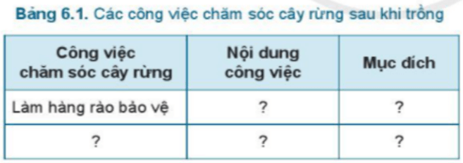 Em hãy đọc nội dung mục 3 và sắp xếp các công việc, nội dung, mục đích