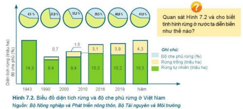 Quan sát Hình 7.2 và cho biết tình hình rừng ở nước ta diễn biến như thế nào?