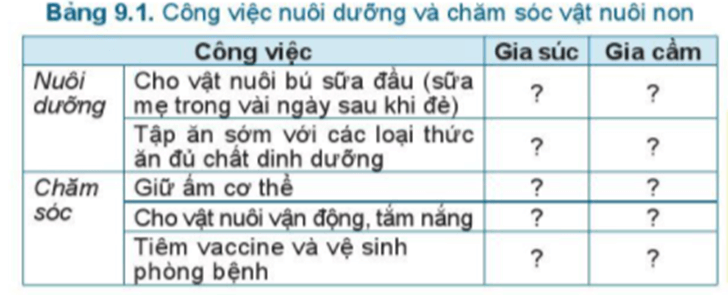 Em hãy lựa chọn những công việc nuôi dưỡng và chăm sóc phù hợp cho gia súc, gia cầm non