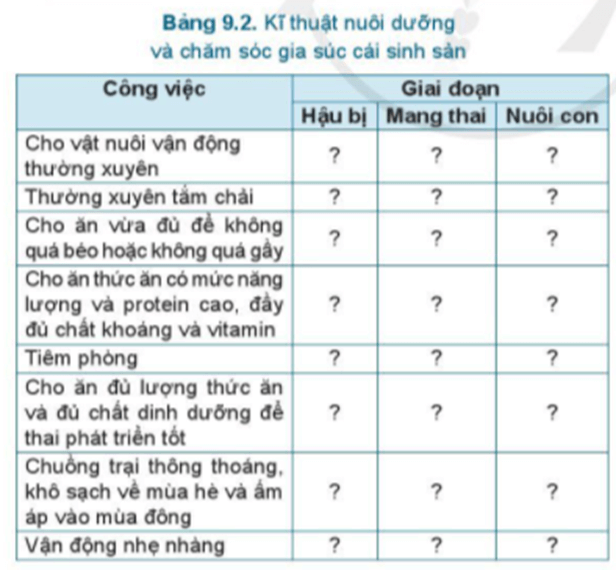 Em hãy lựa chọn những công việc nuôi dưỡng, chăm sóc gia súc cái sinh sản thích hợp