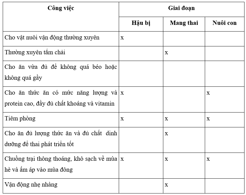 Em hãy lựa chọn những công việc nuôi dưỡng, chăm sóc gia súc cái sinh sản thích hợp