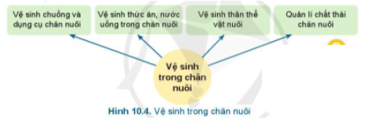 Hãy quan sát Hình 10.4 và cho biết những yêu cầu vệ sinh trong chăn nuôi