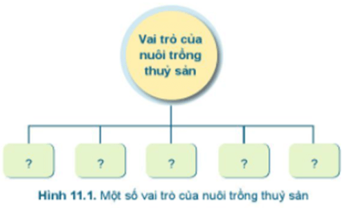 Dựa vào nội dung của bài đọc trên, hãy hoàn thiện sơ đồ vai trò của nuôi trồng thủy sản