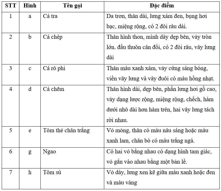 Dựa vào nội dung mục 2 và quan sát Hình 11.3, gọi tên và nêu đặc điểm của từng loại thủy sản