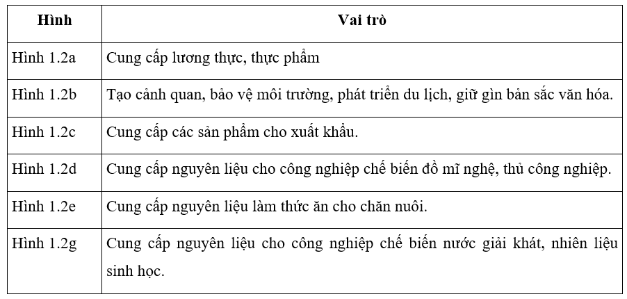 Em hãy đọc nội dung mục 1.1 và cho biết hình 1.2 thể hiện những vai trò