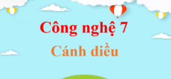 Công nghệ lớp 7 Cánh diều | Giải bài tập Công nghệ 7 hay nhất | Giải Công nghệ lớp 7 | Soạn Công nghệ 7