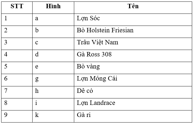 Hãy quan sát các loại vật nuôi trong Hình 8.2 và gọi tên chúng