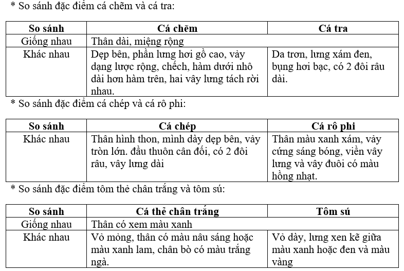 Hãy phân biệt bằng cách so sánh đặc điểm của Cá chẽm và cá tra