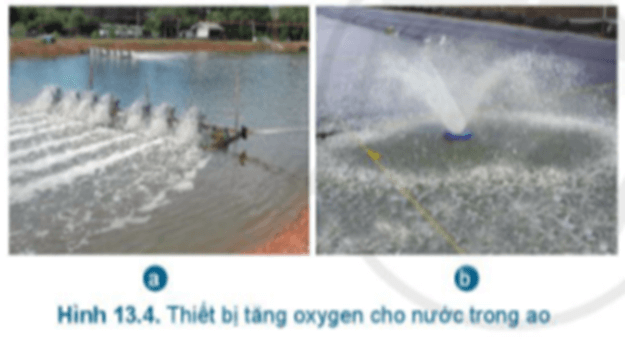 Quan sát Hình 13.4 và cho biết: Vì sao các thiết bị này lại tăng oxygen cho nước trong ao