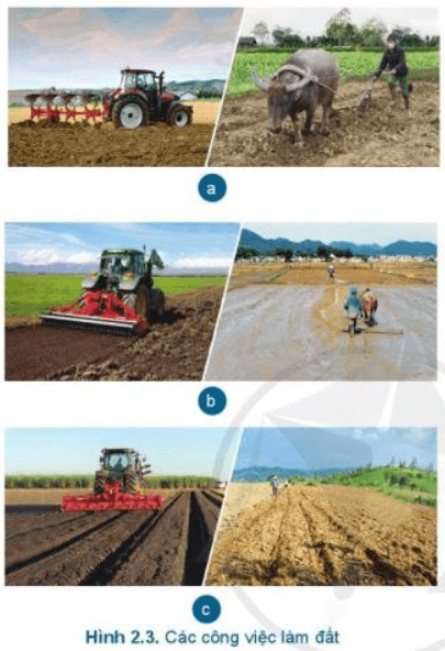Lý thuyết Công nghệ 7 Cánh diều Bài 2: Quy trình trồng trọt
