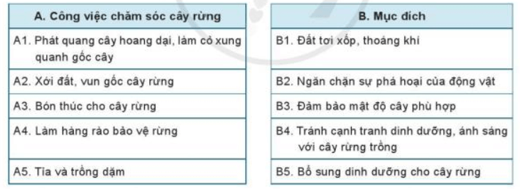 Lý thuyết Công nghệ 7 Cánh diều Ôn tập Chủ đề 1: Trồng trọt và lâm nghiệp