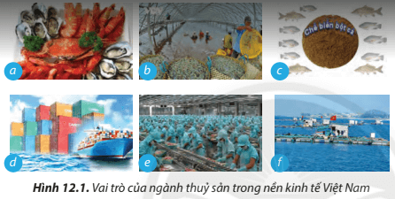 Em hãy nêu vai trò của ngành thuỷ sản được minh hoạ trong Hình 12.1