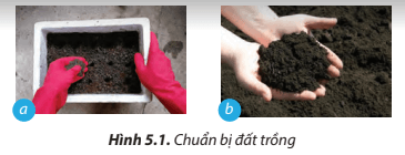 Quan sát Hình 5.1 và cho biết trường hợp nào đảm bảo an toàn nào đảm bảo an toàn lao động trong khâu chuẩn bị đất trồng