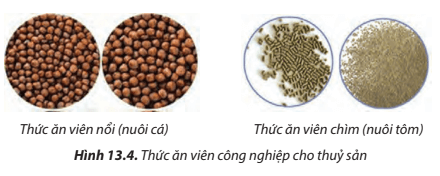 Quan sát Hình 13.2, 13.3 , 13.4, hãy phân biệt và đánh giá ưu, nhược điểm của các loại thức ăn cho tôm, cá