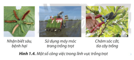 Để làm được các công việc trong Hình 1.4, người lao động cần có những kiến thức và kĩ năng như thế nào?