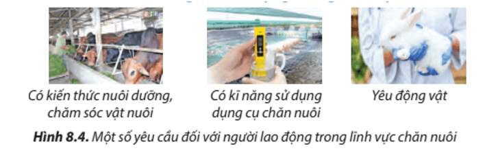 Lý thuyết Công nghệ 7 Chân trời sáng tạo Bài 8: Nghề chăn nuôi ở Việt Nam