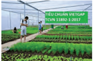Trắc nghiệm Công nghệ 7 Chân trời sáng tạo Bài 1 (có đáp án): Nghề trồng trọt ở Việt Nam