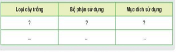 Hoàn thành nội dung theo mẫu bảng dưới đây với các loại cây trồng ?