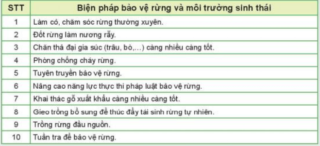 Chỉ ra những việc nên và không nên làm để bảo vệ rừng