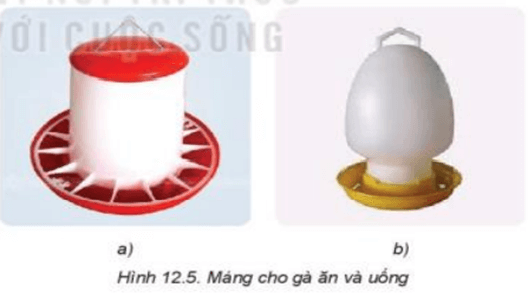 Quan sát Hình 12.5 và cho biết đâu là máng ăn, đâu là máng uống?