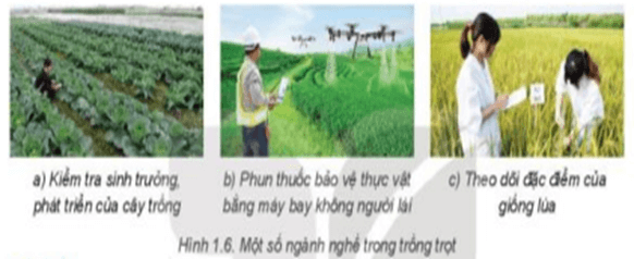 Quan sát Hình 1.6 và cho biết các ảnh trong hình minh họa