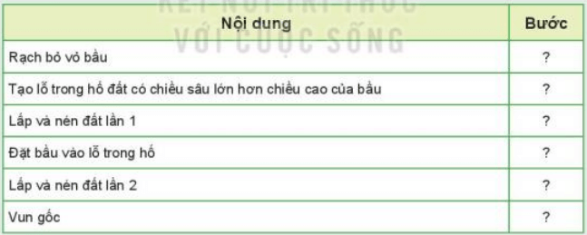 Quan sát Hình 8.1 và xác định các bước theo quy trình trồng rừng