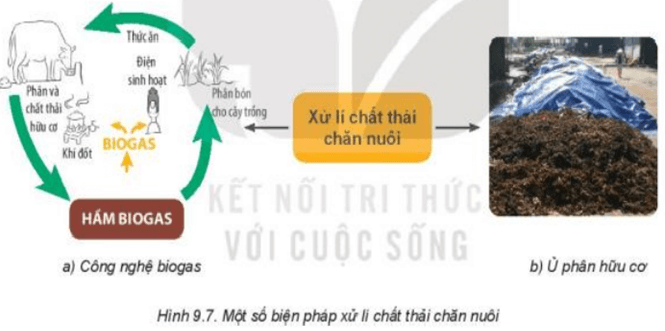 Quan sát Hình 9.7 và nêu những biện pháp phổ biến trong xử lí