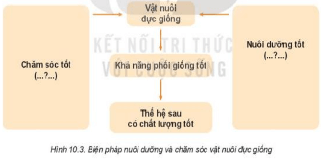 Đọc nội dung mục III kết hợp quan sát Hình 10.3, nêu ý nghĩa