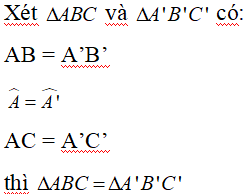 Các trường hợp bằng nhau của hai tam giác hay, chi tiết