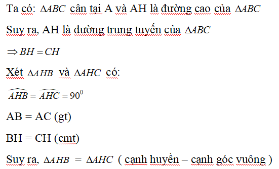 Các trường hợp bằng nhau của hai tam giác hay, chi tiết