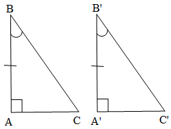 Các trường hợp bằng nhau của tam giác vuông lớp 7 (hay, chi tiết)