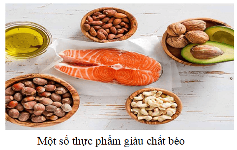 Chất béo có ở đâu