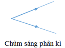 Có những loại chùm sáng nào