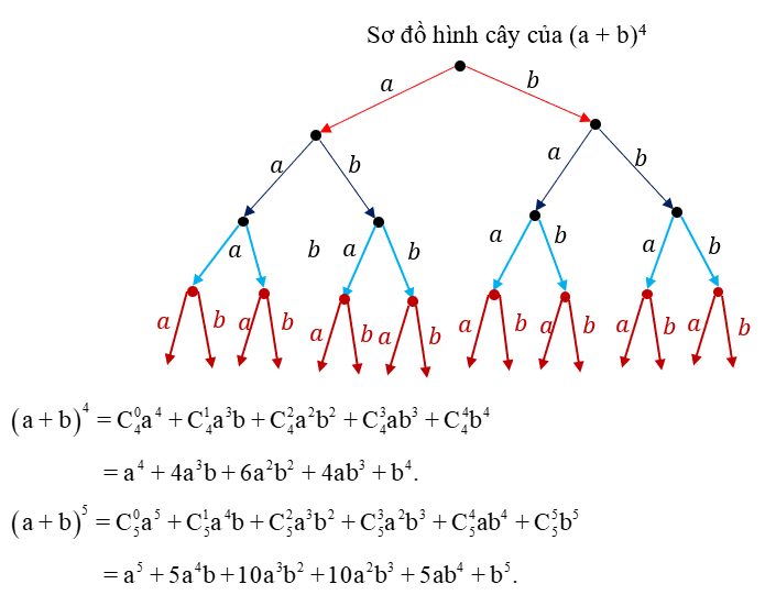 Công thức khai triển nhị thức Newton lớp 10 (hay, chi tiết)