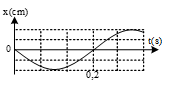 Công thức phương trình dao động điều hoà lớp 11 (hay, chi tiết)