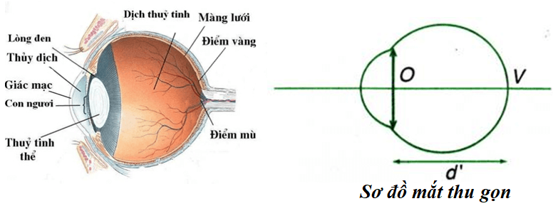 Công thức Vật Lí lớp 11 Chương 7 chi tiết nhất