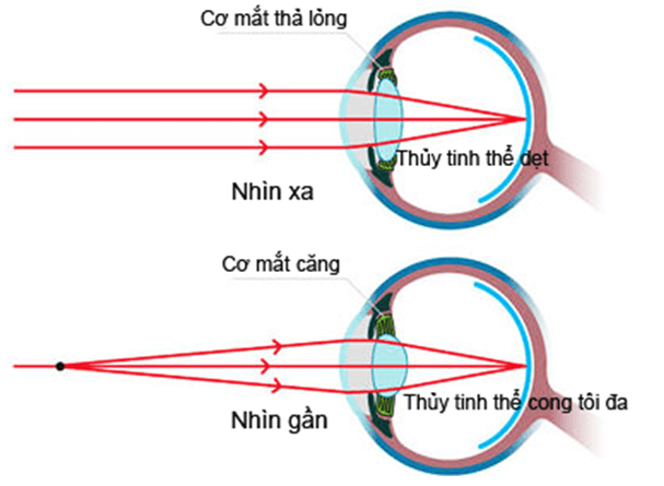 Công thức Vật Lí lớp 11 Chương 7 chi tiết nhất