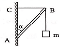 Đề cương ôn tập Học kì 1 Vật Lí 10 năm 2021