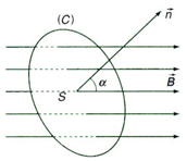 Đề cương ôn tập Học kì 2 Vật Lí 11 năm 2024