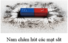 Hãy nêu từ tính và sự tương tác giữa hai nam châm