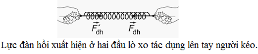 Lực đàn hồi là gì? Lực đàn hồi của lò xo phụ thuộc vào yếu tố nào và phụ thuộc như thế nào