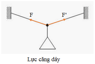 Lực đàn hồi xuất hiện khi nào? Có những loại lực đàn hồi nào